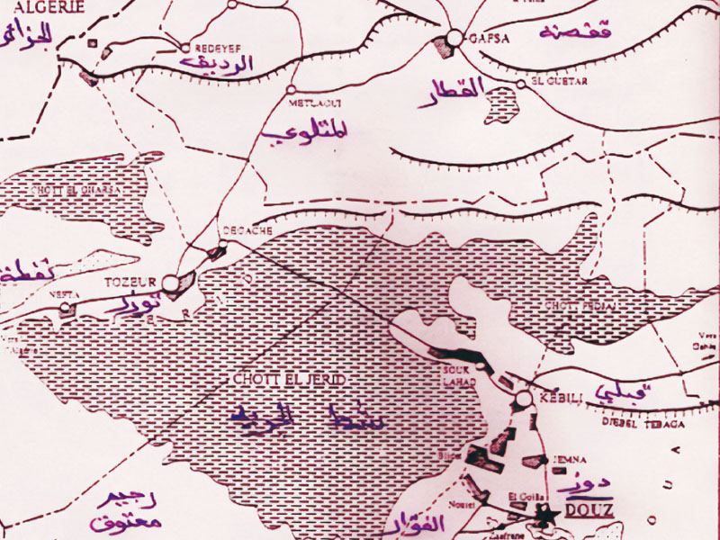 LES ZAOUIAS ET LES TARIQAS EN TUNISIE L’EXEMPLE DE LA REGION DE DOUZ