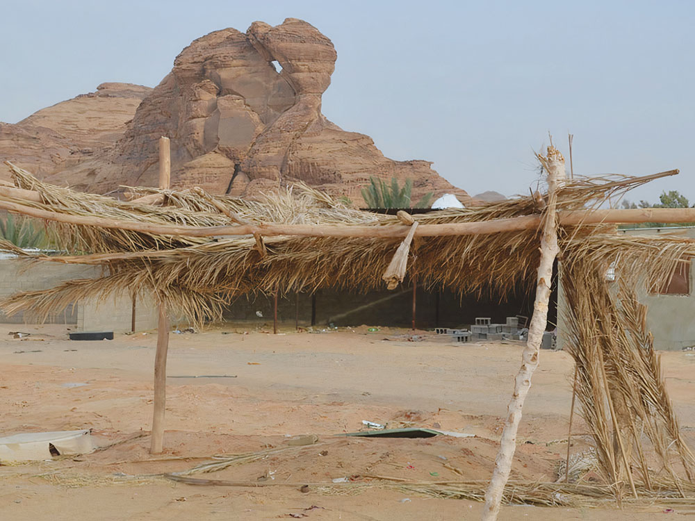 LES HABITATIONS TRADITIONNELLES CONSTRUITES  À PARTIR DU PALMIER DANS LE DISTRICT D’AL ‘ALAE 